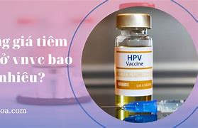 Giá Tiêm Hpv Ở Hải Phòng